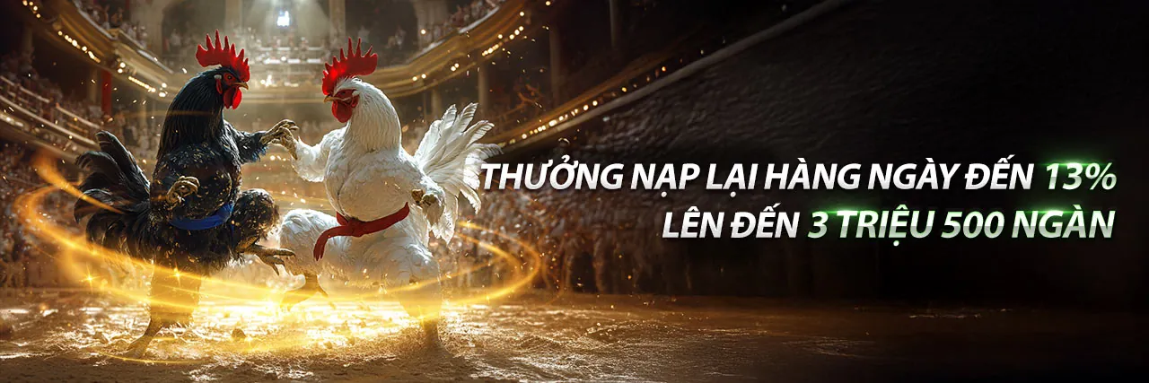 Đá Gà Trực Tuyến Hấp Dẫn tại 12play login